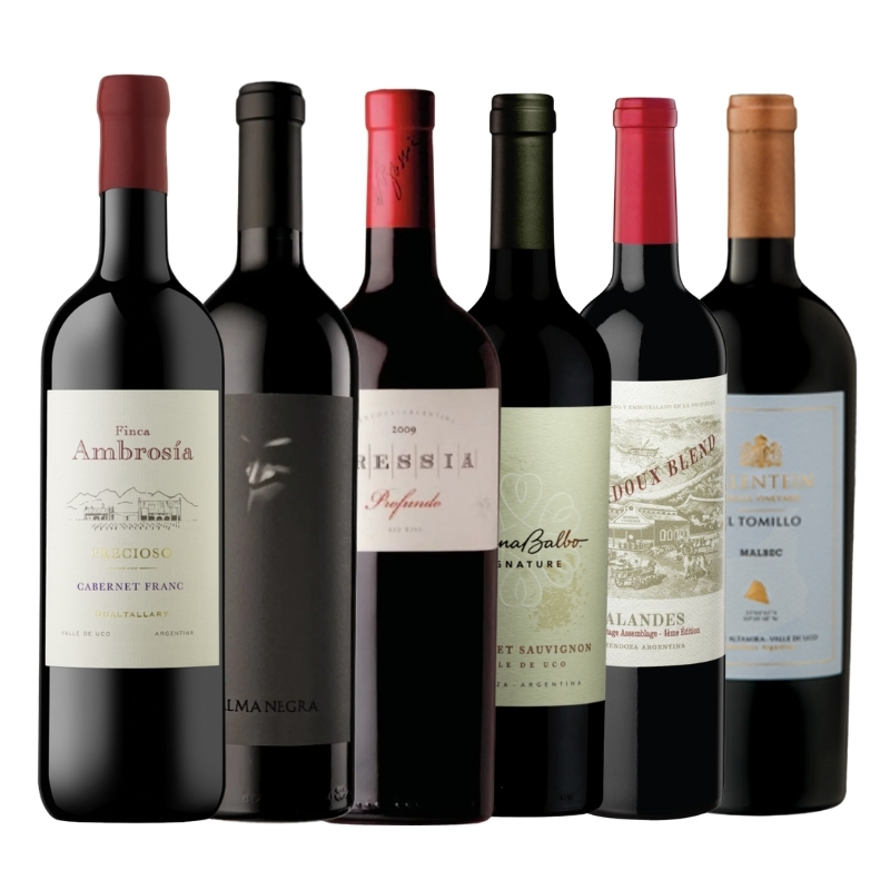 Club de vinos selección de Alta Gama pack 6 botellas
