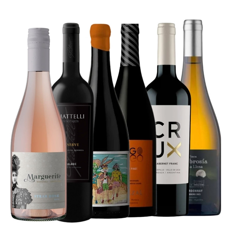 Club de vinos selección de 6 botellas de todo un poco