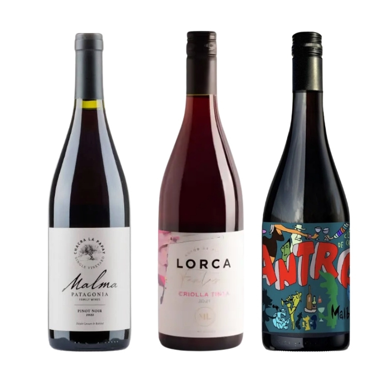 Club de vinos selección de Tintos Ligeros pack 3 botellas