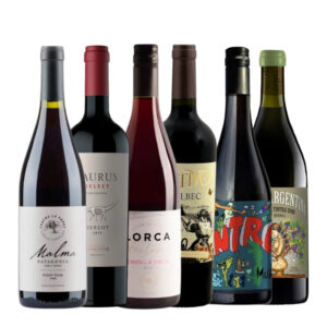 Club de vinos selección de Tintos Ligeros pack 6 botellas